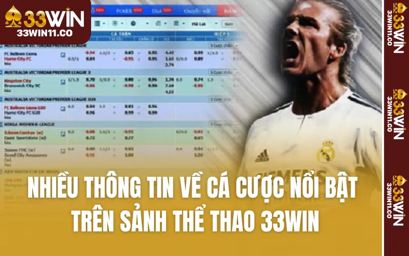 Nhiều thông tin về cá cược nổi bật trên sảnh thể thao 33WIN